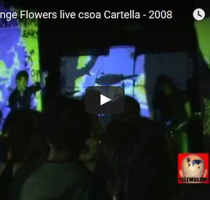 The Strange Flowers @ csoa cartella
