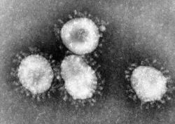 Contagio sociale. Guerra di classe micro-biologica in Cina Contagio sociale. Guerra di classe micro-biologica in Cina