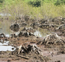 Il 23 marzo tutte/i a Vibo contro la Sorical e l'Alaco