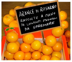 Rosarno, Italia: due anni di lotte Rosarno, Italia: due anni di lotte