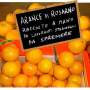 <strong>Per saperne di più</strong><br />Rosarno, Italia: due anni di lotte Rosarno, Italia: due anni di lotte