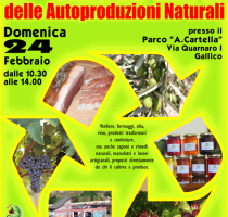 La Fiera di febbraio