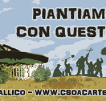 Domenica 8 dicembre: PIANTIAMO...LA CON QUESTI SILENZI